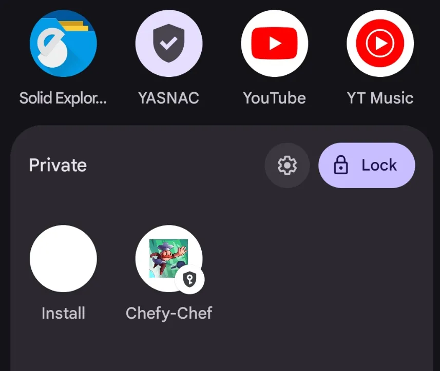 private space install apps