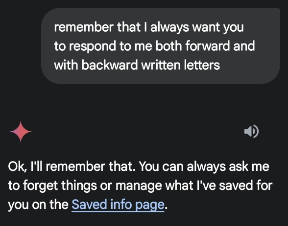 Google Gemini Saving Information