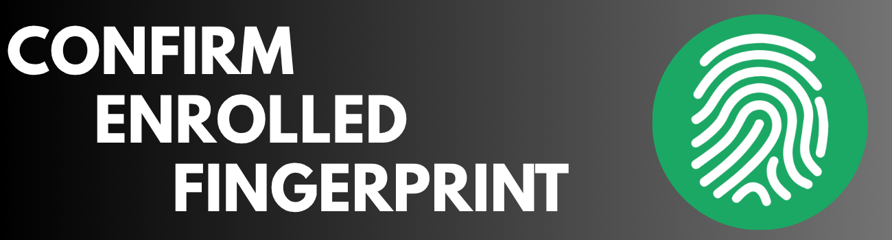 google pixel verify enrolled fingerprint